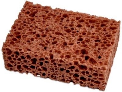 GĄBKA.jpg